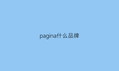 pagina什么品牌