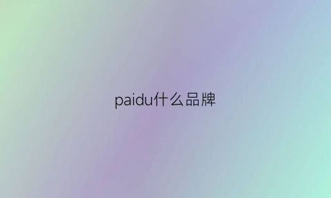 paidu什么品牌(品牌的排是哪个排)