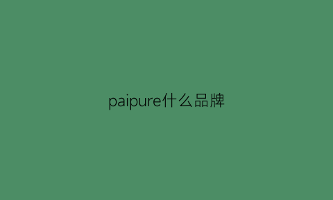 paipure什么品牌(paiein是什么品牌)