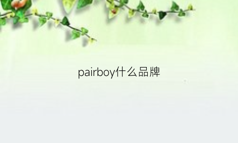 pairboy什么品牌