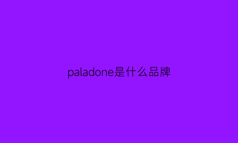 paladone是什么品牌(palson是什么牌子)