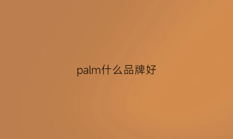 palm什么品牌好(palmland牌子)