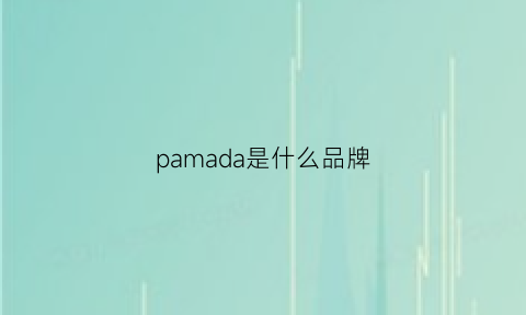 pamada是什么品牌(pasada是什么牌子)