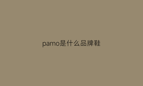 pamo是什么品牌鞋(pasp是什么牌子的鞋)