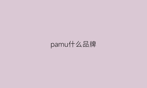 pamu什么品牌(pampems是什么牌子)