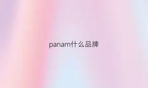 panam什么品牌(pann是什么牌子)