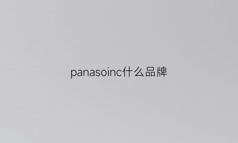 panasoinc什么品牌(panasonis是什么牌子)