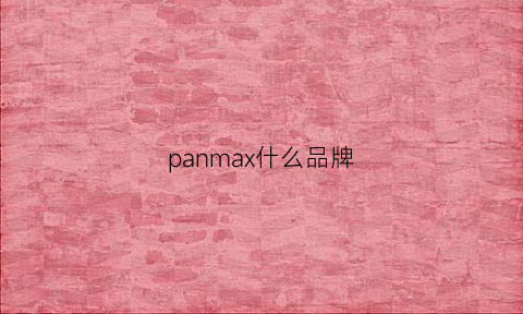 panmax什么品牌