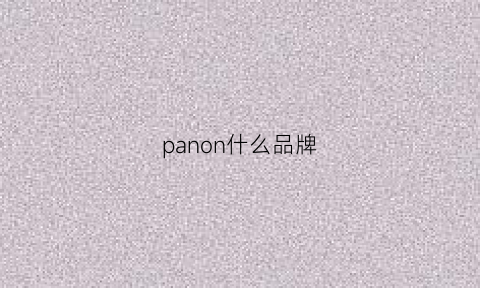 panon什么品牌(panadonic是什么牌子)