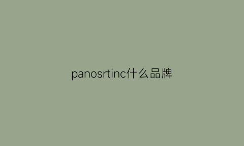 panosrtinc什么品牌(pannsoioioan是什么牌子)