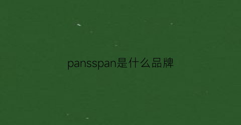 pansspan是什么品牌(panisoca是什么牌子)