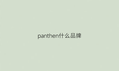 panthen什么品牌(panther品牌介绍)