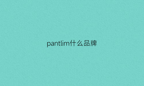 pantlim什么品牌(panyl是什么牌子)