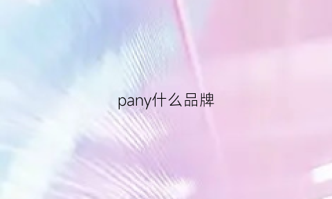 pany什么品牌