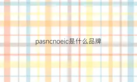 pasncnoeic是什么品牌(pasnew是什么牌子)