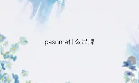 pasnma什么品牌(parma是什么牌子)