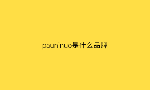 pauninuo是什么品牌(pamino是什么品牌)