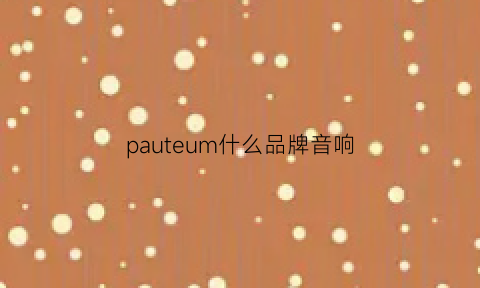 pauteum什么品牌音响(pa是什么品牌音响)