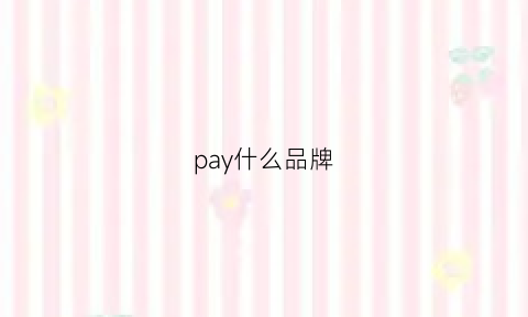 pay什么品牌