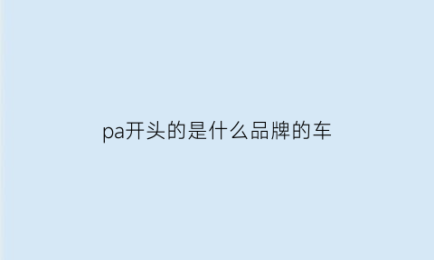 pa开头的是什么品牌的车