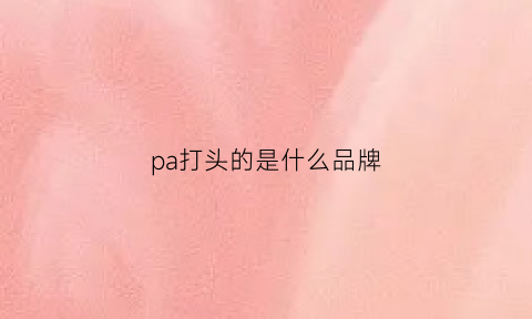 pa打头的是什么品牌