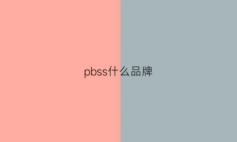 pbss什么品牌(pb品牌全称)