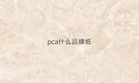 pca什么品牌纸(pclp什么牌子)