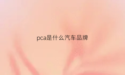 pca是什么汽车品牌(pca是什么的缩写)