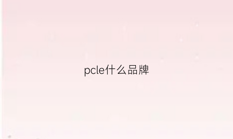 pcle什么品牌(pclpperclips什么牌子)