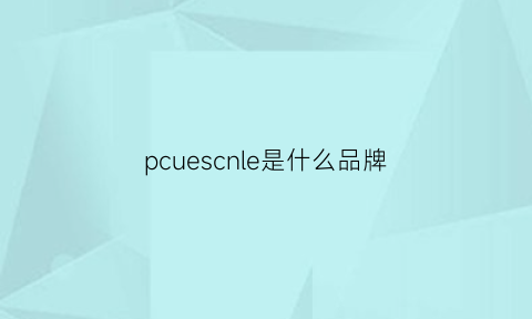 pcuescnle是什么品牌(pcle是什么)