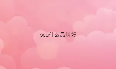 pcu什么品牌好(pcs品牌)