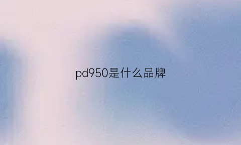 pd950是什么品牌(pd950adk是什么牌子)