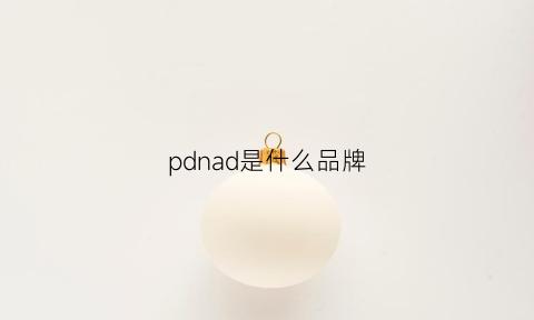 pdnad是什么品牌(pdl是什么品牌)