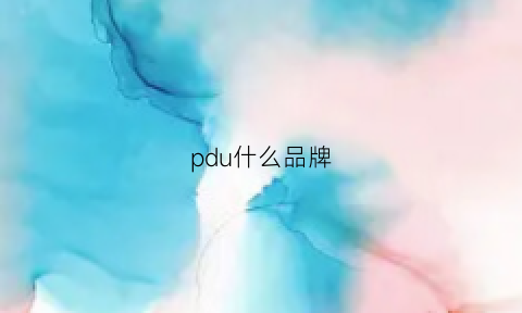 pdu什么品牌(pdp是什么品牌)