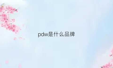 pdw是什么品牌