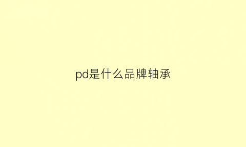 pd是什么品牌轴承