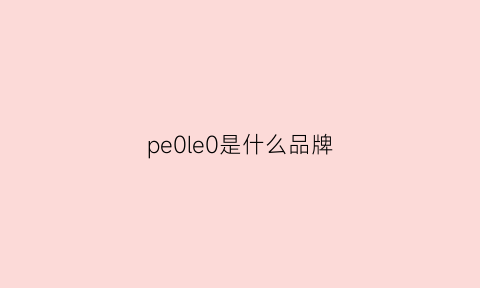 pe0le0是什么品牌(pe是什么牌子)