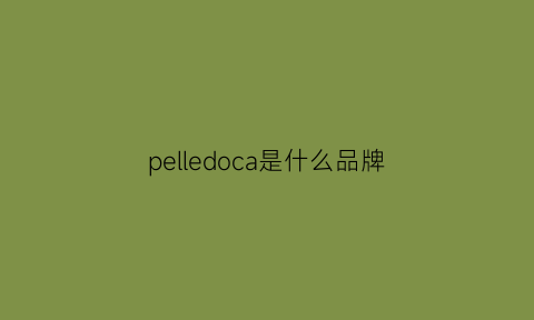 pelledoca是什么品牌(pellepelle是什么品牌)