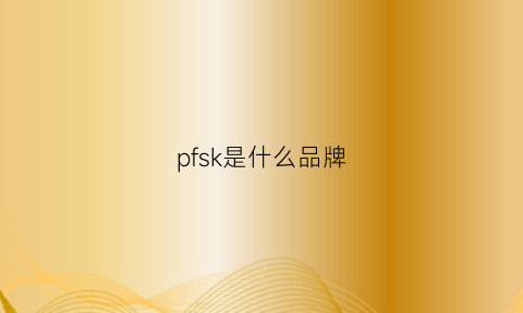 pfsk是什么品牌(fsp是什么牌子)