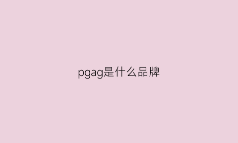 pgag是什么品牌(pgx是什么品牌)