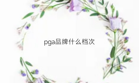 pga品牌什么档次(pgg品牌)