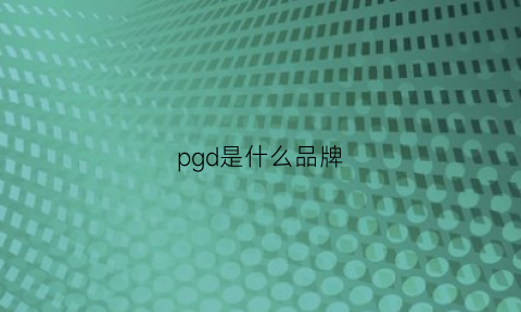 pgd是什么品牌(RAPGD是什么品牌)