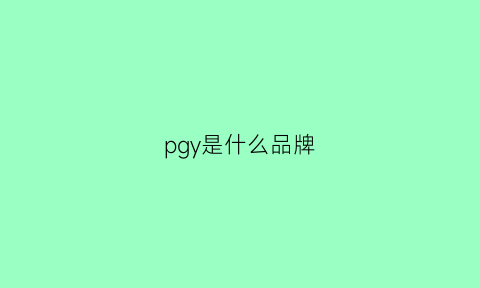 pgy是什么品牌(ipy是什么品牌)