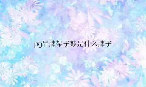 pg品牌架子鼓是什么牌子(pg-10k架子鼓)