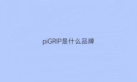 piGRIP是什么品牌(piplomal是什么牌子)