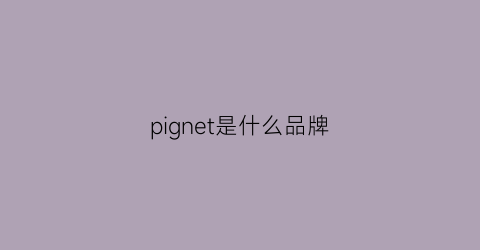 pignet是什么品牌