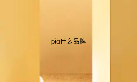 pig什么品牌(pg是什么品牌)