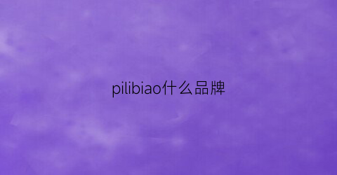 pilibiao什么品牌(pi什么牌子)