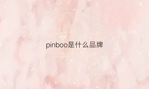 pinboo是什么品牌(pinlo是什么品牌)