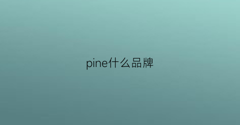 pine什么品牌(pino是什么品牌)
